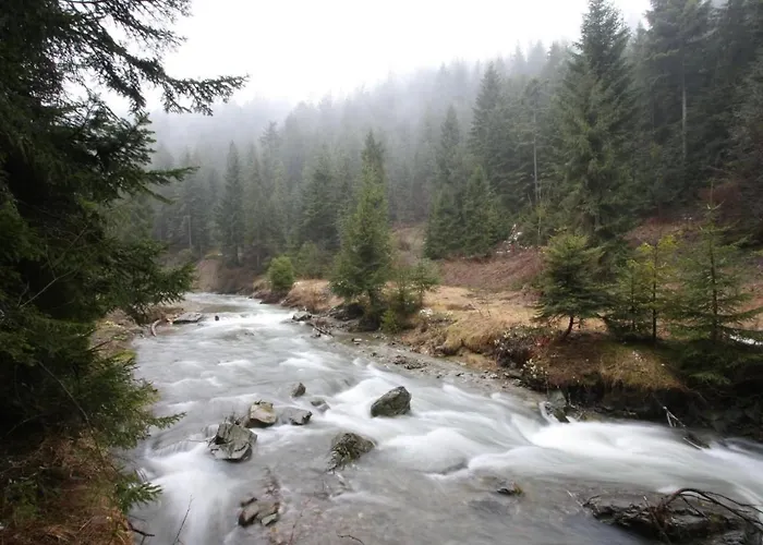 Ośrodek Nad Potokiem